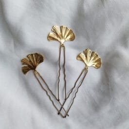 z. k. Ginkgo